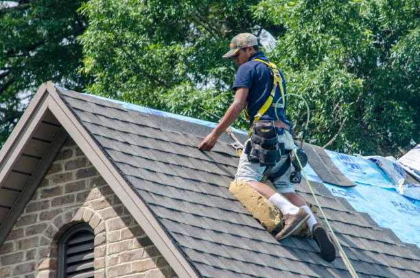 Best New Roof Installation  in Fremont, NE